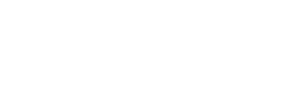 Speed Team logo